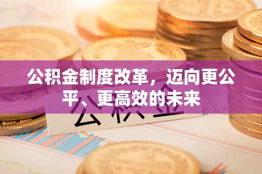 辽宁公积金制度改革，迈向更公平、更高效的未来