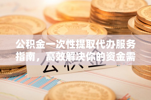 辽宁公积金一次性提取代办服务指南，高效解决你的资金需求
