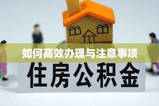 辽宁如何高效办理与注意事项