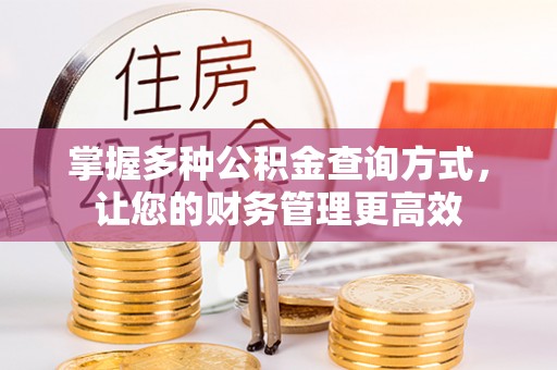 辽宁掌握多种公积金查询方式，让您的财务管理更高效