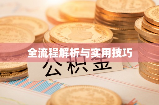 辽宁全流程解析与实用技巧