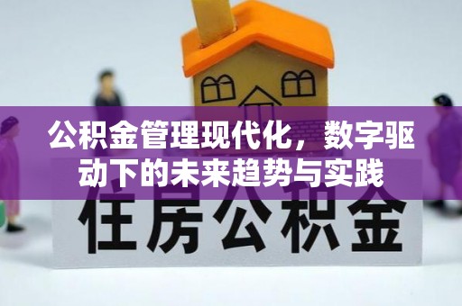 辽宁公积金管理现代化，数字驱动下的未来趋势与实践
