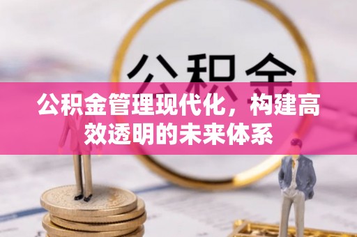 辽宁公积金管理现代化，构建高效透明的未来体系