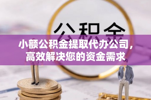辽宁小额公积金提取代办公司，高效解决您的资金需求