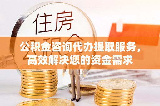 辽宁公积金咨询代办提取服务，高效解决您的资金需求