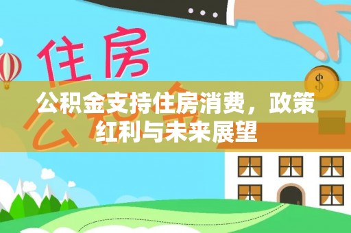 辽宁公积金支持住房消费，政策红利与未来展望