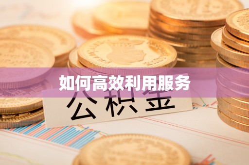 辽宁如何高效利用服务