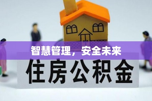 辽宁智慧管理，安全未来