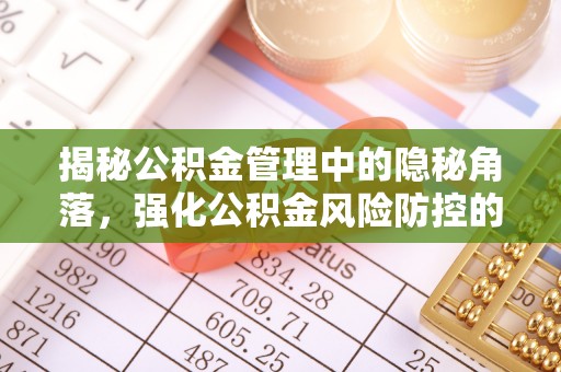 辽宁揭秘公积金管理中的隐秘角落，强化公积金风险防控的必要性与路径