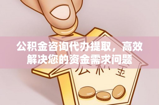辽宁公积金咨询代办提取，高效解决您的资金需求问题