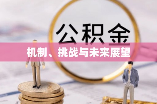 辽宁机制、挑战与未来展望