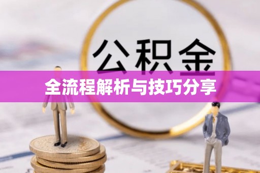 辽宁全流程解析与技巧分享