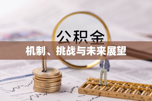 辽宁机制、挑战与未来展望
