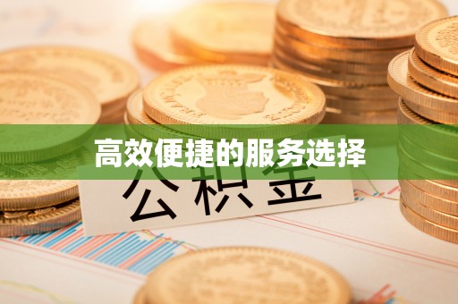 辽宁高效便捷的服务选择