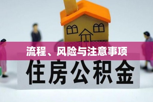 辽宁流程、风险与注意事项