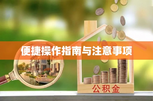 辽宁便捷操作指南与注意事项